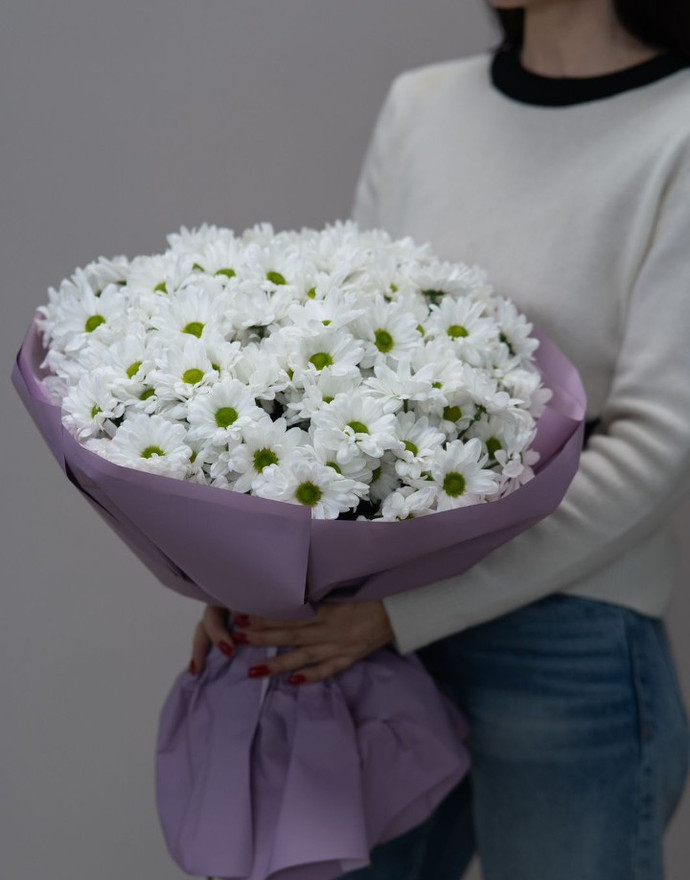 Купить Хризантему 